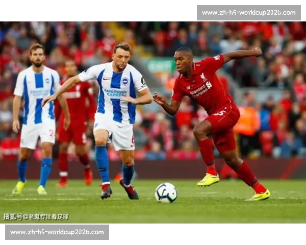 布莱顿 1100 万欧签 21 岁意大利中卫库博拉，五年长约锁定未来