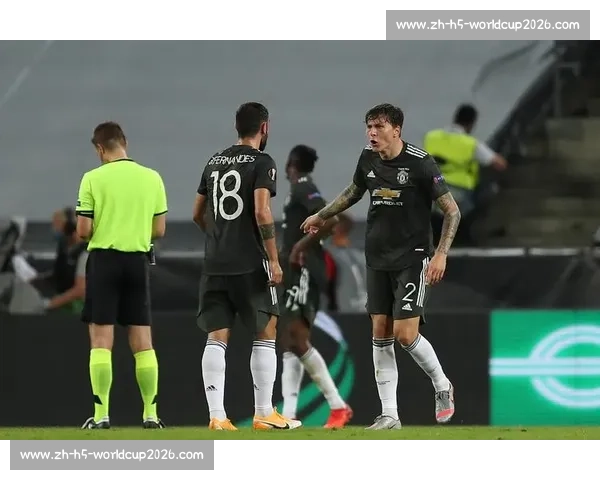 替补奇兵！约书亚・万爆冷终结罗伊瓦尔冠军挑战梦